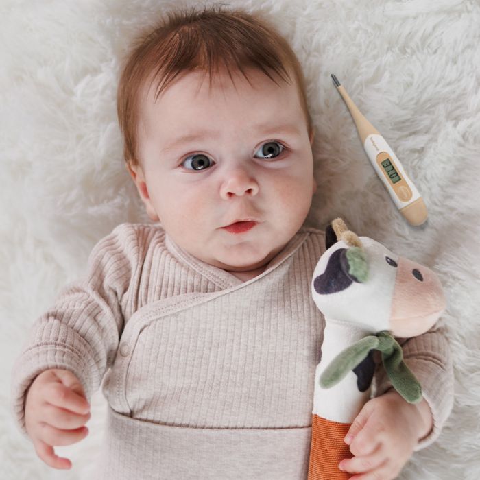 Babyono termometras skaitmeninis lankstus 1901