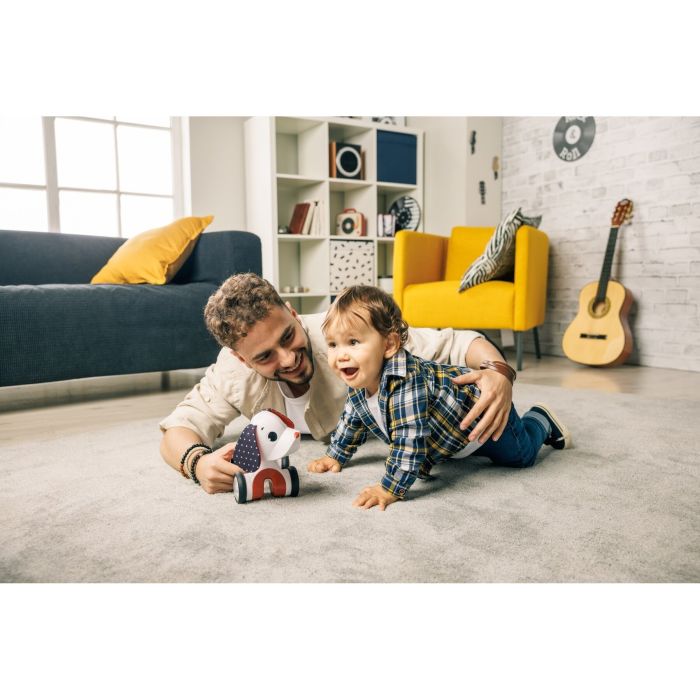 Tiny Love interaktyvus žaislas šuniukas tiny rockers