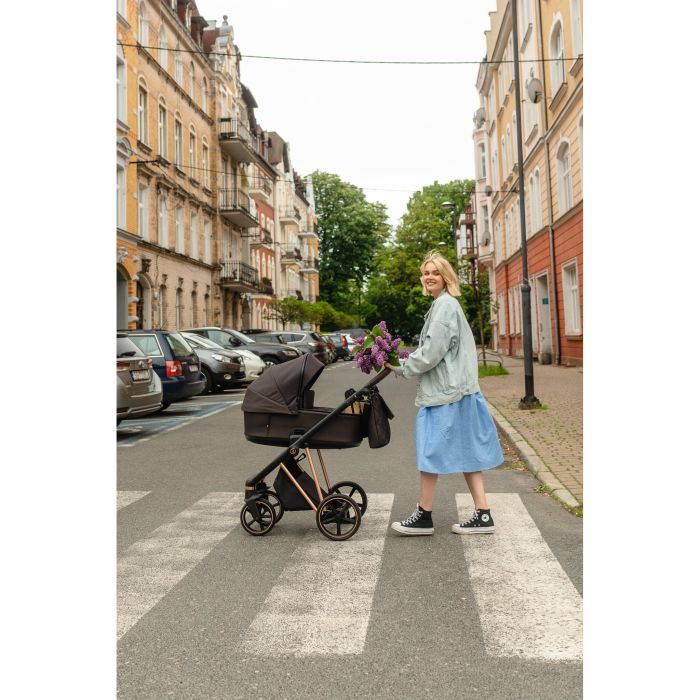 Roan vežimėlis 2/1 iVI Choco/Rose Gold