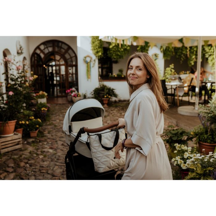 Roan vežimėlis 2/1 iVI Pearl Shell