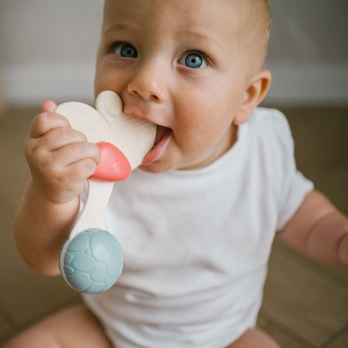 Babyono barškutis su kramtuku gėlė 1589