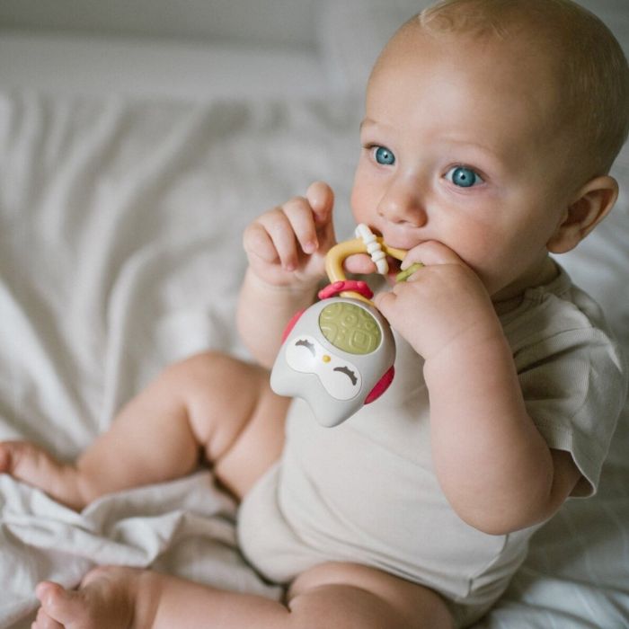 Beebi kõristi Babyono "OWL"