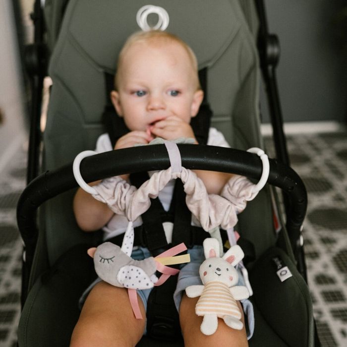 Vankrimänguasjad  "Nature"