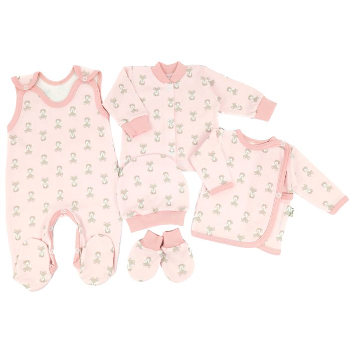 Komplekt vastsündinule 5-e osaline "Fox pink"
