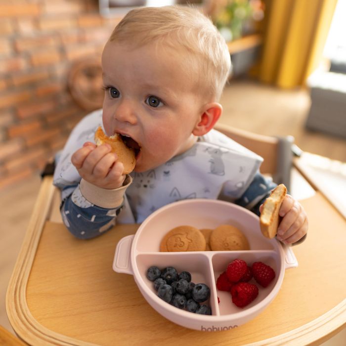 Babyono lėkštutė silikoninė neslystanti su dangteliu ir skyriais rožinė 1661/02