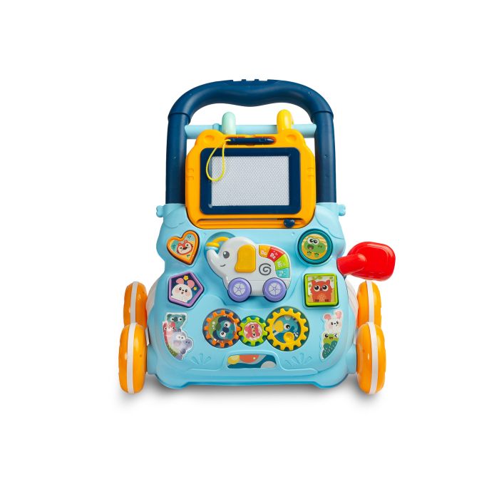 Käimistoed  "ZOO BLUE"