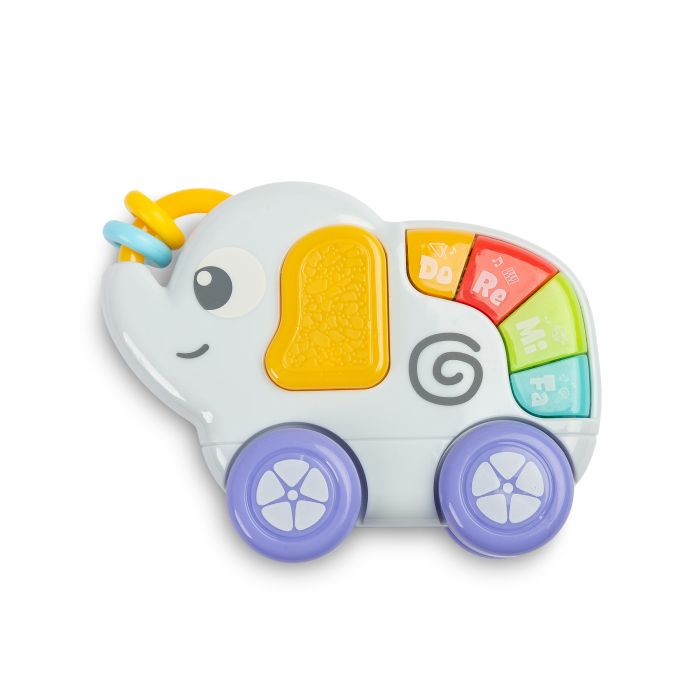 Käimistoed  "ZOO BLUE"