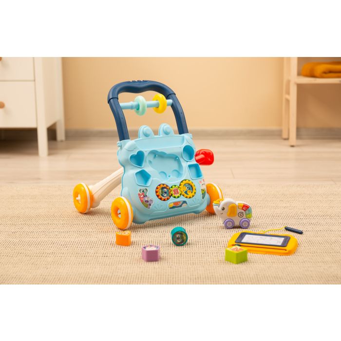 Käimistoed  "ZOO BLUE"