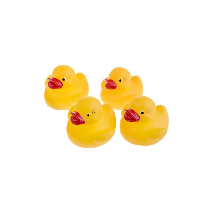 Vannimänguasjad "4 DUCKS"