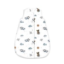 Beebi magamiskott AVI &bdquo;Aviator teddy blue&ldquo;, 74 cm, 2&ndash;2,5 TOG