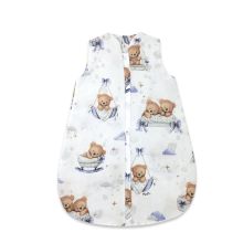 Beebi magamiskott AVI &bdquo;Lullaby blue&ldquo;, 74 cm, 2&ndash;2,5 TOG