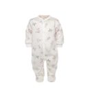 Tudukombe beebile "Story by nature"