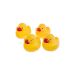 Vonios žaislas "4 DUCKS"