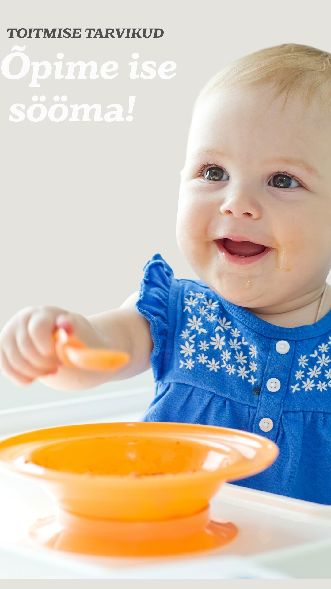 BEEBIDE TOITMISVAHENDID